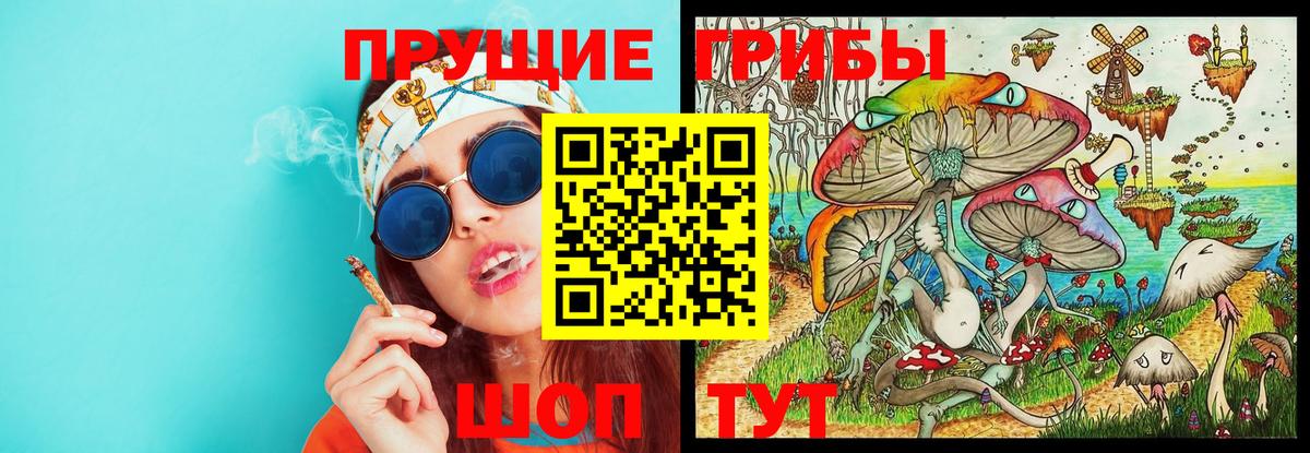 Галлюциногенные грибы мухоморы  Вход с VPN  Псилоцибиновые грибы GOLDEN TEACHER  Нефтекумск 